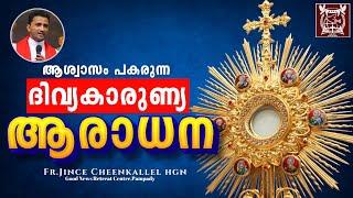 സങ്കടങ്ങളെയെല്ലാം എടുത്തുമാറ്റുന്ന ആരാധന Anointing Adoration Fr. Jince Cheenkallel HGN