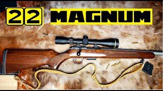 22 MAGNUM: My favorite small game cartridge