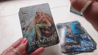 Traceyhd's Review Of The Messages From The Mermaids Oracle