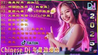 2025全中文舞曲串烧抖音DJ版合辑Chinese DJ REMIX 2025暗里着迷 男人歌 你莫走  一起走过的日子星语心愿抖音神曲2025_