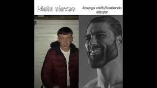 Meta slave vs average waifu/husbando enjoyer| Genshin Impact