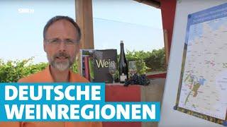 Werner erklärt Wein: Weitere deutsche Weinregionen