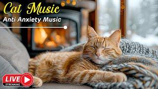 Soothing Cat Music - Gentle Tunes for a Relaxed Kitty - Sleep with your cat's favorite music 