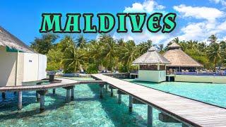 Exploring the Maldives – A Paradise of Marine Life and Beauty