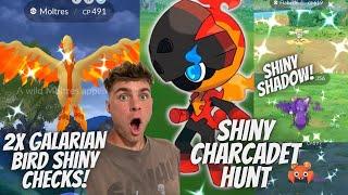 NEW Shiny Charcadet Hunt, Shiny Shadow CAUGHT and More In Pokemon Go!