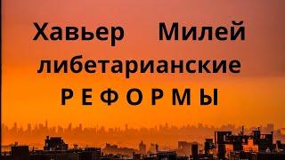 Первый либертарианский президент. Часть 3 Реформы Хавьера Милея Неизвестная экономика.