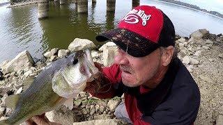 Bass , Drum , and Catfish Love Crawfish !