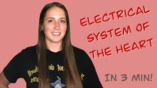 EKG -  Electrical System of the Heart