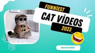 "Infinite Cuteness: Watch the World's Cutest Cats in This Video! #catsfunnyvideos #catscomics