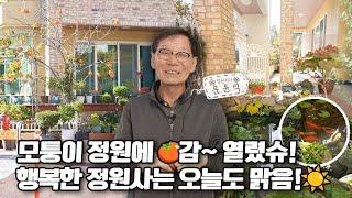 [ SUB ] 모퉁이 정원 A happy corner garden | 정원의 발견 Wonders of Garden | KBS제주20231208 방송