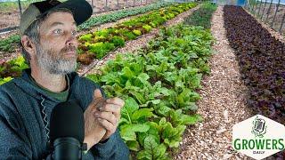 Reviving Abused Soil + Remember Insects on Windshields?