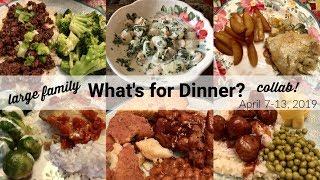 What's for Dinner? COLLAB with Taylor Elmore! | Cook with Me | Real Life Meal Ideas