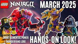 Ninjago March 2025 In-Hand Reveal & Interview!