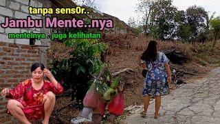 Jambu Mente Kampung Gunung Pengantin Tikar pandan & tradisi Dandan necis di Sawah hutan para Wanita.