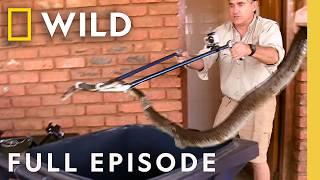 Snakes vs. Robots (Full Episode) | Dangerous Encounters | Nat Geo Animals