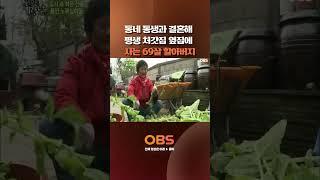 동네 동생과 결혼해 평생 처갓집 옆집에 사는 69살 할아버지 #만남 #다큐 #용인노루실마을 #양봉 #산골생활 #용인 #고향