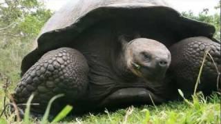Chris Bray Photography Galapagos Photo Safari