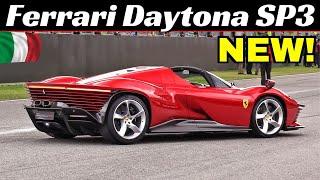 NEW Ferrari Daytona SP3 Icona, Worldwide First Time Run - Mugello Circuit + 330 P3, 330 P3/4 & 412 P