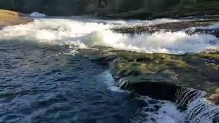 Nymph falls nature park !!! Beautiful British Columbia