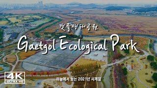 [4K Siheung Story] Four Seasons of 2021 seen from the sky - GAETGOL ECOLOGICAL PARK