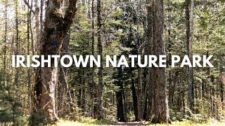 We found one of Canada's largest urban nature parks | Irishtown Nature Park | Moncton, New Brunswick