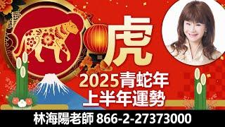 林海陽獨家!! 看過來! 2025青蛇年 虎生肖 上半年運勢大解析! _20250104