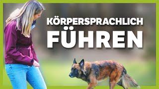 KÖRPERSPRACHE ▶︎ Wie du deinen Hund richtig führst (einfach und präzise)