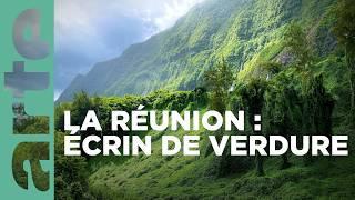 La Réunion, le renouveau des jardins créoles | 360° Reportage | ARTE Family