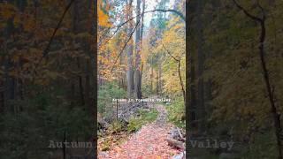 Fall in Yosemite National Park