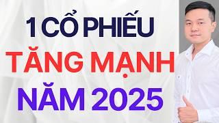 CỔ PHIẾU TĂNG MẠNH VÀO NĂM 2025 - ĐI NGƯỢC XU HƯỚNG THỊ TRƯỜNG, ĐẦU TƯ DÀI HẠN | Chứng Khoán Hôm Nay