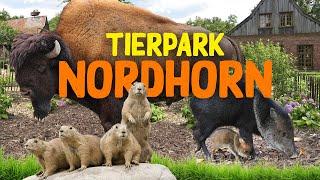 Tierpark Nordhorn | Zoo-Eindruck