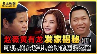赵薇黄有龙 发家揭秘  亿万大佬的分享司机、美女秘书、会计的用法之道  王均瑶的启示（下）