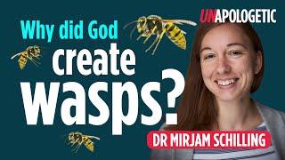 Why did God create mosquitoes? (and other questions on suffering) | Unapologetic 2/2