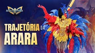 TRAJETÓRIA DA ARARA | TEMPORADA 1 | THE MASKED SINGER BRASIL