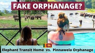 Pinnawela Elephant Orphanage vs. Elephant Transit Home | Which one to AVOID! | Sri Lanka 