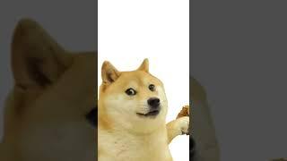 Chicken Nugget #shorts #memes #animation #doge #shortsvideo #dogelore #doge