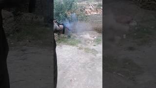 12 Bore #gun  made in darra Adam khel #viral #tiktok #viral #tiktokvideos