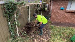 Massive Tree makes Massive Mess in Small Backyard! Watch Us Clean it up!