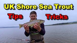 SHORE FISHING Bombarda Tips to Catch SEA TROUT Like a Pro!