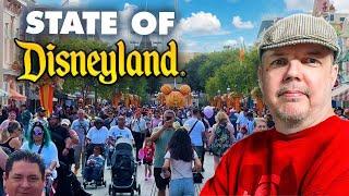 Crowds are back with queues I've never seen before! | State of Disneyland 2024-09-18