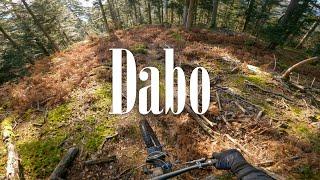 Dabo Trails | Grand Est