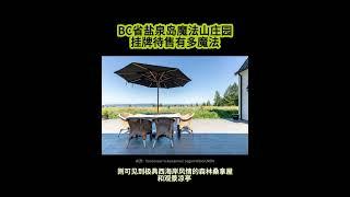 BC省盐泉岛魔法山庄园挂牌待售有多魔法