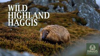 A Perilous Scottish Journey | Wild Highland Haggis