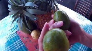 ФРУКТЫ ШРИ-ЛАНКИ|| FRUITS IN SRI-LANKA [Mysa Marysa]