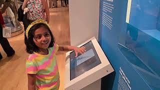 Royal Ontario Museum Through Kid's Eyes