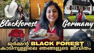 ജർമ്മൻ Blackforest കാട്ടിലെ ഞങ്ങളുടെ ജീവിതം | Our days in Blackforest, Germany | Malayalam Vlog