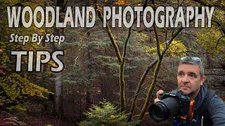 STEP BY STEP TIPS ON WOODLAND PHOTOGRAPHY | LANDSCAPE PHOTOGRAPHY | NEW FOREST