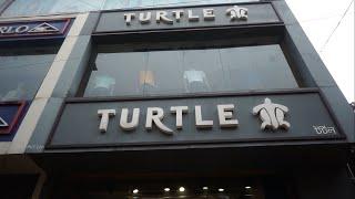 #Turtle Store Promo Ad