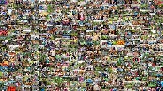 Hazon: The Jewish Lab for Sustainability