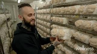 How an exotic mushroom farmer turned his passion into a business | Season 6 | The House of Wellness